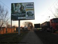 Imagine atasata: Extindere troleibuz Calea Lipovei - 2016.01.28 - 24.jpg